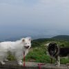 チャココと佐渡#6(ドンデン山～石名天然杉)