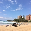 Manly beach レポート。理想のビーチはどこだ！