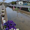 徒然とAIと本質と