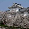 鶴山公園にお花見