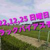 2022,12,25 日曜日 トラックバイアス予想 (中山競馬場、阪神競馬場)