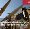 「パレスチナへの道はどちらか？対NATO新戦略の選択肢」
