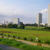 走る、夏の多摩川べり