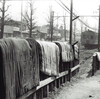 昭和45年頃の仙石線。榴ヶ岡〜仙台駅の写真。