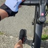 そろそろ本格的に