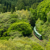 2025/05/05 新緑の中を走るクラシックゆふいんの森