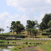 武蔵野の森公園を歩いて～写真散歩～9月上旬頃