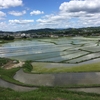 日本の原風景🌾