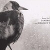 2024年8月30日（金）　『ペンギンが教えてくれたこと』＠Netflix