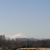 富士山も綺麗に