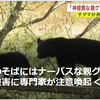 【全国的に頻発するクマ被害について……6／2－3　相次ぐクマ被害に専門家が注意喚起〈岩手県〉】＃406