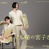 泉里香「マル秘の密子さん」