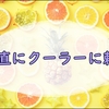 夏仕様の生活になった猫のノアと私の最近の純日記。