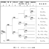 低頻度高被害型リスクについて考える（2/3）：不確実性の問題