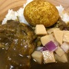 武蔵溝口　ノクチラボに新規出店　「カレー工房　和KAZU 」　どんなカレーか