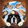 ちょっと疲れてきた頃の続編映画を観る！「ベートーベン 5」（2003）の巻