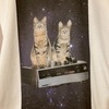 猫Tシャツ販売開始 Cat T-shirts are now on sale