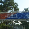 2019.8.4 @ 富士急ハイランド  富士急ハイランド・コニファーフォレスト Roselia 「DAY2：Roselia 「Wasser」」   