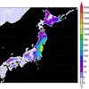 放射能食品汚染＞春、食品に注意すべきこと（２０１４年３月）