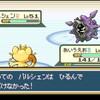 【ポケモンFRLG攻略】殿堂入りの記録（赤の場合）【前編】
