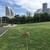 ピクニックに最適！みなとみらいで一番大きな公園【臨港パーク】