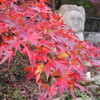 紅葉の秘境へ！ 加西市の古法華自然公園に行ってきました。