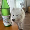 日本酒