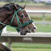 高いのはどっち？ムーア騎手のＪＲＡ勝率と阪神のムーア元投手の打率