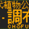 1月11日～14日に再現したもの