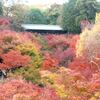 紅葉の東福寺を楽しむ
