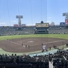 甲子園エリア | 新しい夢のテーマパーク誕生！？「甲子園キッズフェスタ～2025 spring～」で大興奮の1日をレポート！