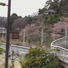 偕楽園好文亭　と　ネコネコネコ草