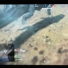 野生の生き物撮影してみた『BATTLEFIELD Ⅴ』