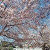 誰でも納得できる議員の選び方？
