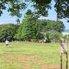 小金井公園まで行ってみた