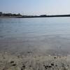 穴場の海、葉山関根海岸へ行ったよ♪