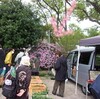 早朝から・・・お勉強（笑）に