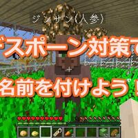 マイクラ 名札の使い方次第で村人失踪を防ぐ 名前の付け方から裏技