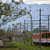 近江鉄道 2025　5/11-12