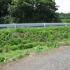 草刈りウィークエンド