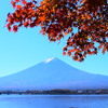 今年2015年10月6日に､河口湖と西湖紅葉台から撮った､富士山＆紅葉の写真です｡西湖紅葉台は､調度､今が見頃を迎えています｡