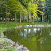 洞峰公園の彼岸花 ～つくば市とその周辺の風景写真案内（１１５９） 