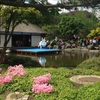 Japanischer Garten in Hamburg 