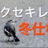 「野鳥の鳴き声がもたらす効果」