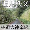 【車載動画】埼玉県秩父市 林道 大神楽線