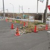 登校の風景：横断歩道の渡り方