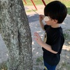 久しぶりのコーデ✨️こどもの日に初めての行動？！👦🏻🌳