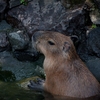 温泉に入りながら考えた