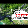 １１月２９日（木）クロアチアへ行って見たい