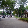 勝俣部長の「ため息」４９３８回････頭巾(ｽﾞｷﾝ)